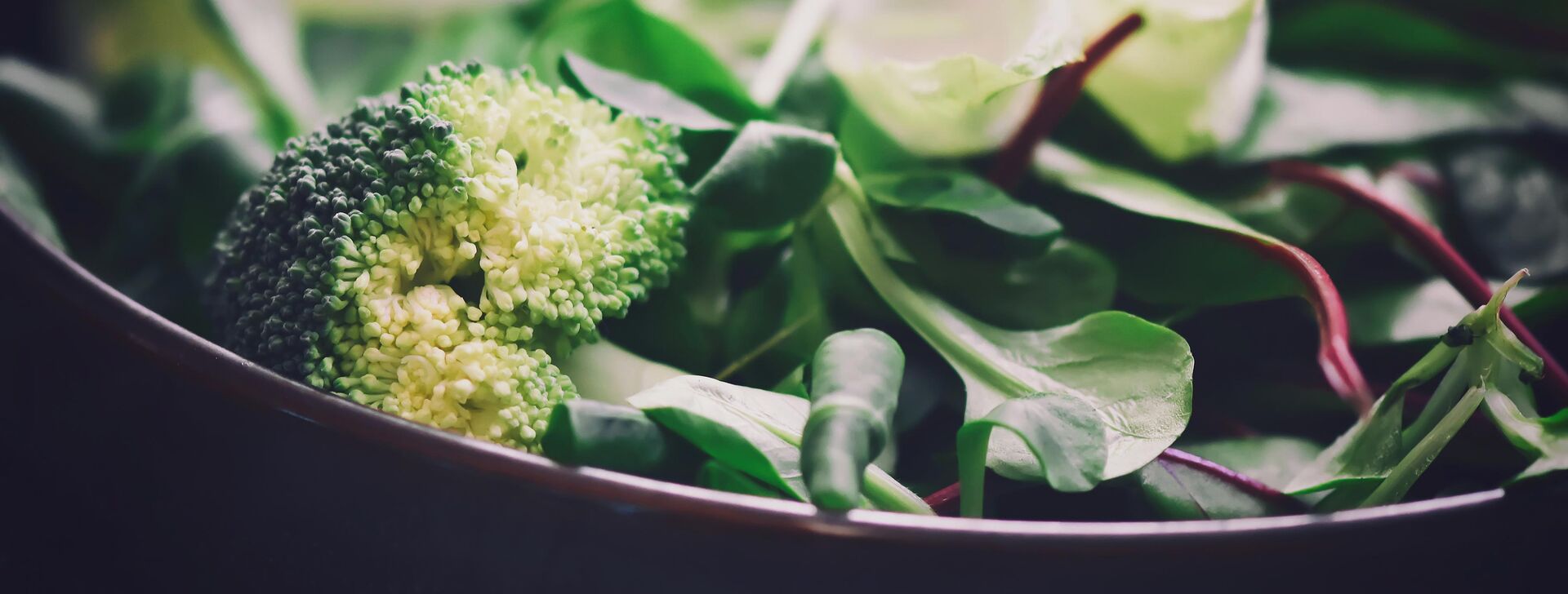 Plant-based food is healthy! Close-up of a bowl of green leaf lettuce and broccoli