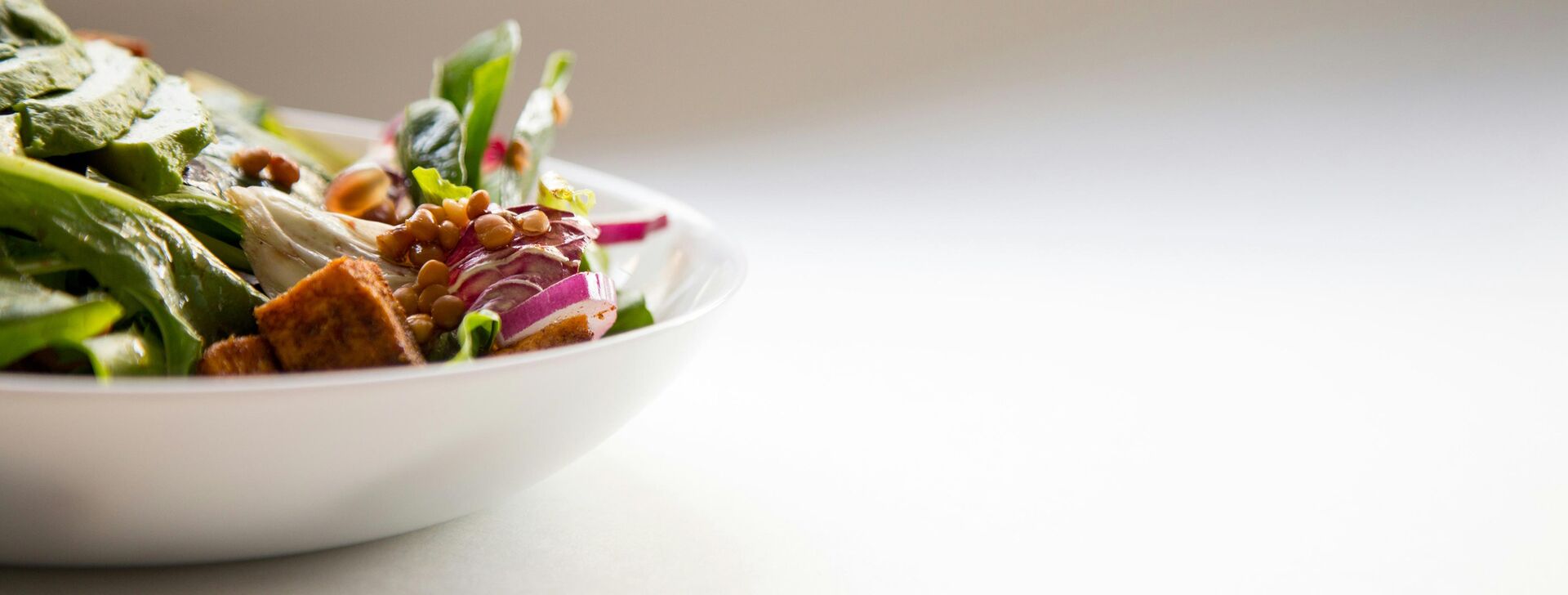 Plant-based food conquers the gastronomy! Close-up of an appetizingly prepared plant-based bowl