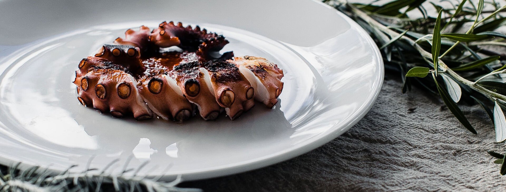 Mit sauber gespültem Geschirr zum Genusserlebnis! Weißer, makellos sauberer Teller mit angerichtetem gegrillten Tintenfisch