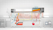 [Translate to Spanish:] Winterhalter conveyor dishwashers heat recovery