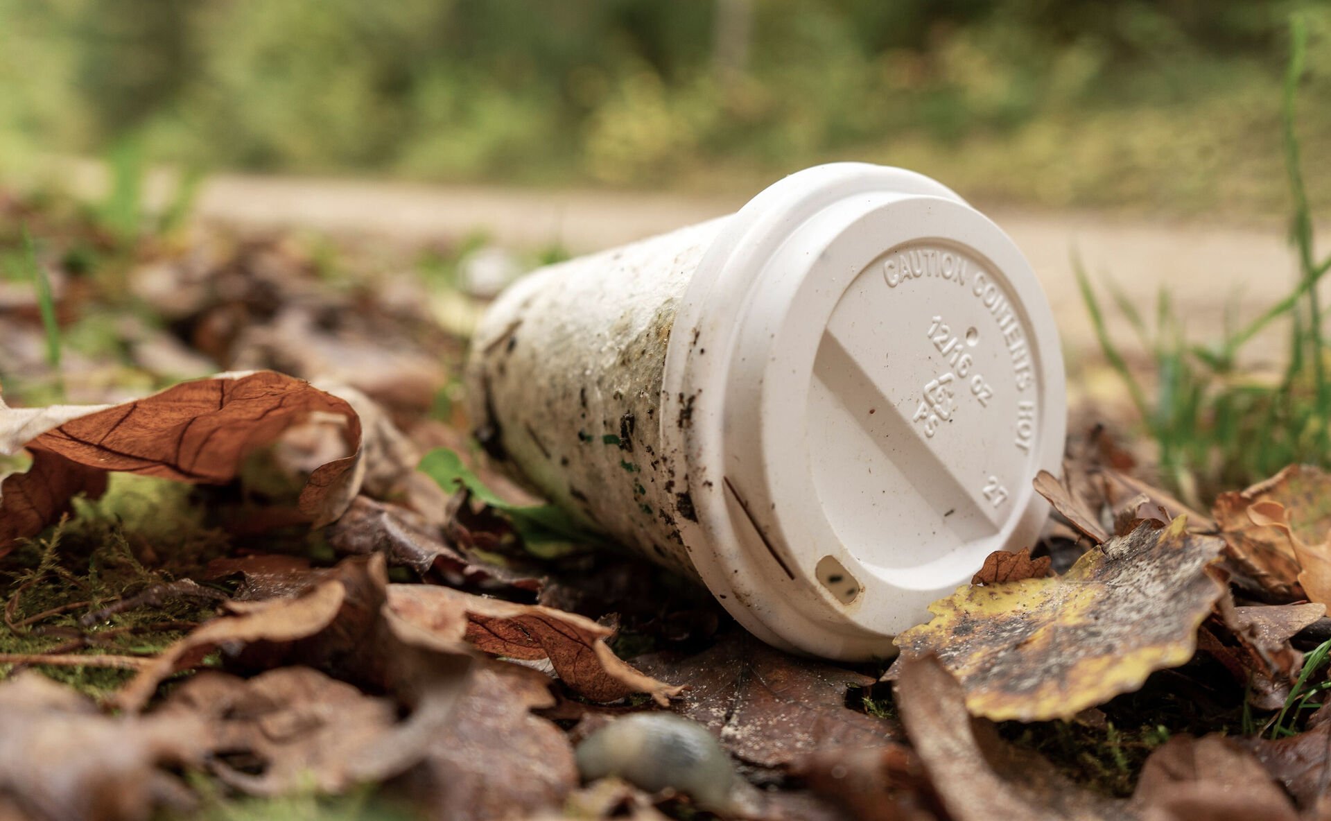 Antworten auf die wichtigsten Fragen zum Einwegkunststoff-Fondsgesetz Ein weggeworfener Becher aus Einwegkunststoff liegt auf dem Waldboden