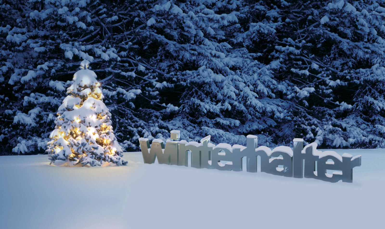 Winterhalter поздравляет Вас с Новым Годом и Рождеством!