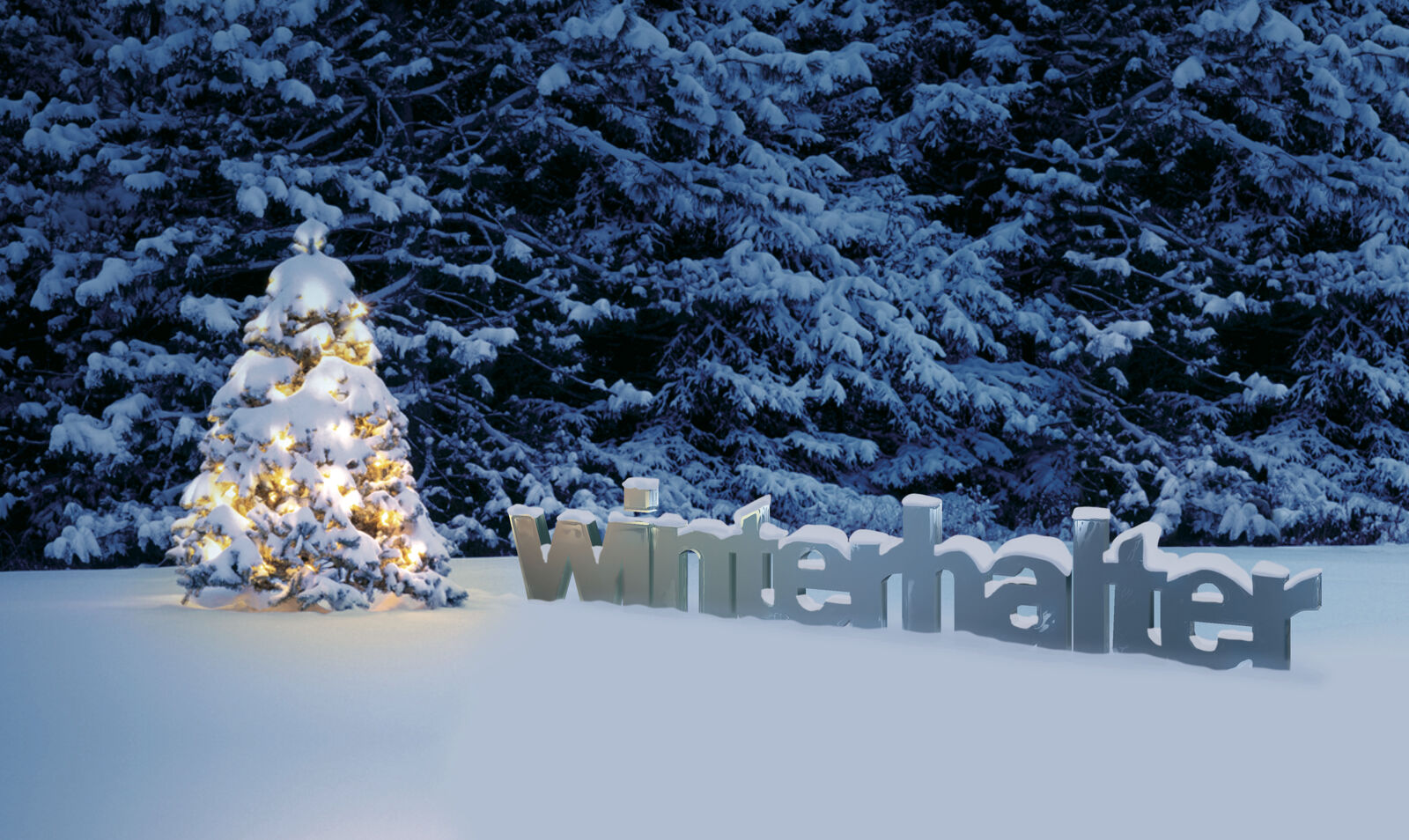 Winterhalter поздравляет Вас с Новым Годом и Рождеством! Winterhalter поздравляет Вас с Новым Годом и Рождеством!