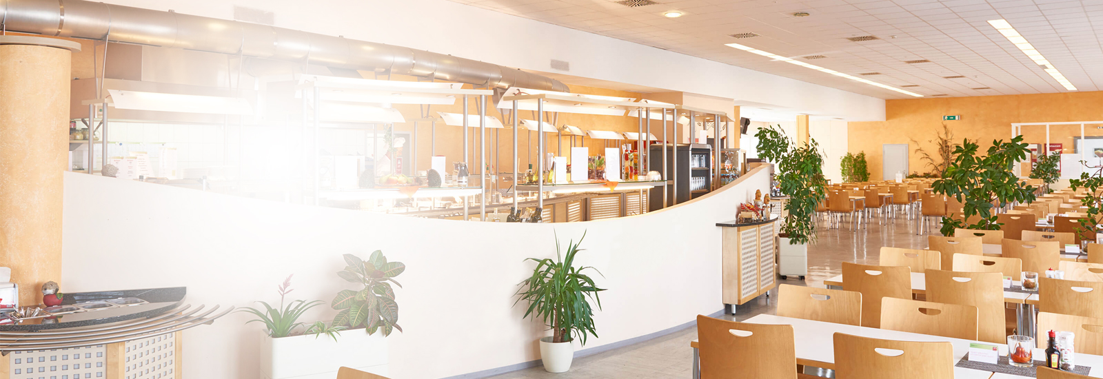 Referência Cantina do EBZ Máquina de lavar loiça com transportador de cestos Winterhalter Referência Cantina do EBZ Máquina de lavar loiça com transportador de cestos Winterhalter