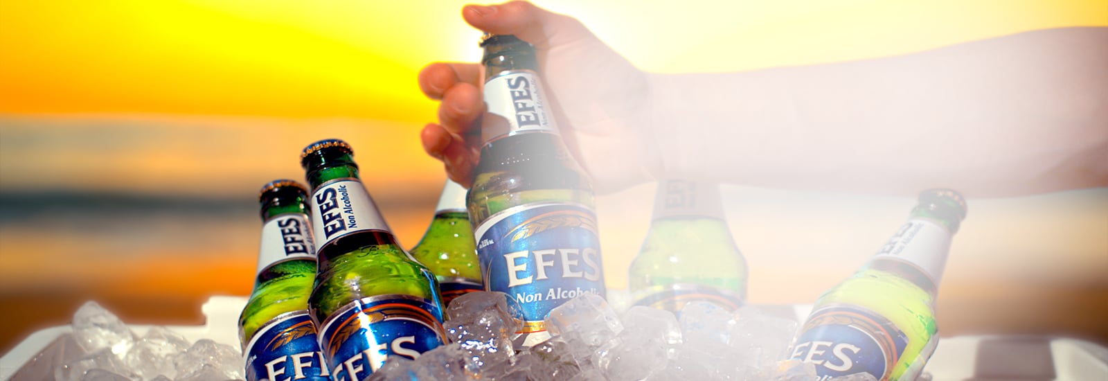 Посудомоечные машины Winterhalter на заводе EFES в Калуге Посудомоечные машины Winterhalter на заводе EFES в Калуге