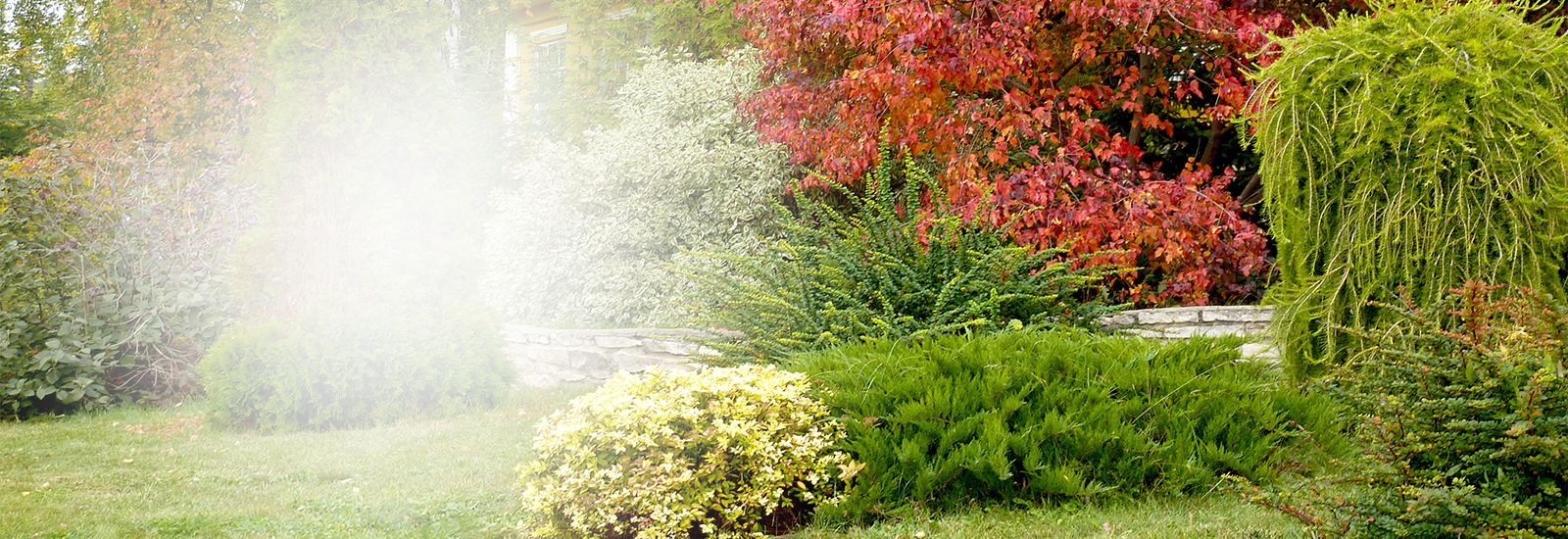 Профессиональные посудомоечные машины Winterhalter в санатории «Варзи-Ятчи» Профессиональные посудомоечные машины Winterhalter в санатории «Варзи-Ятчи»