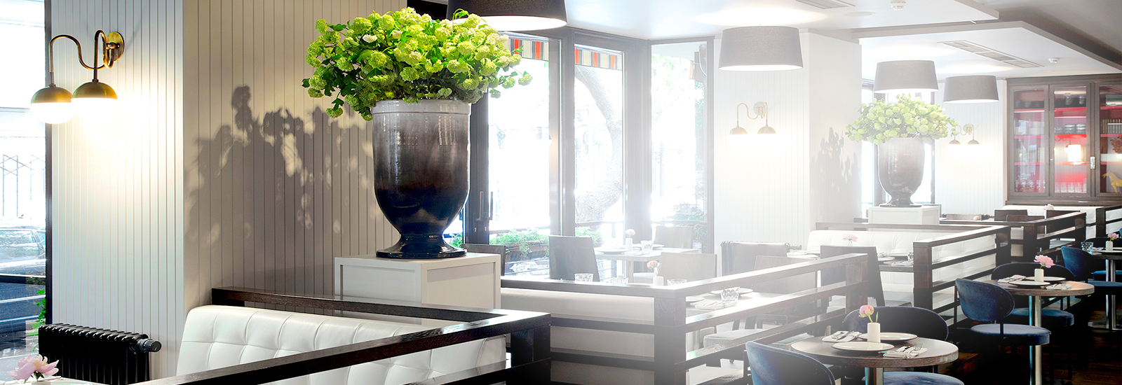 Посудомоечные машины Winterhalter в кафе Академия Посудомоечные машины Winterhalter в кафе Академия