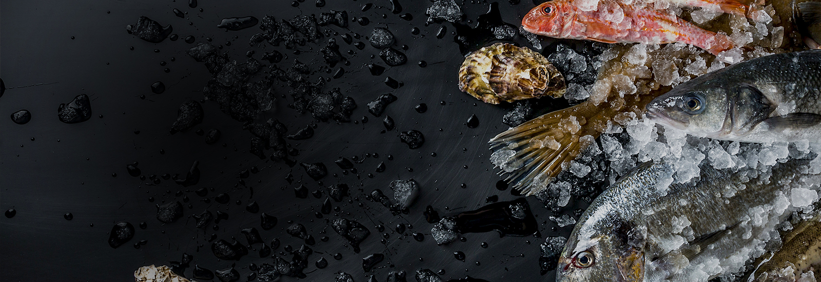 Профессиональные посудомоечные машины Winterhalter в Seafood Bar by John Dory (Минск) Профессиональные посудомоечные машины Winterhalter в Seafood Bar by John Dory (Минск)