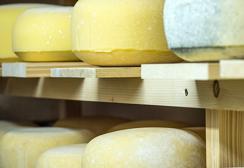 Pomivalni stroji Winterhalter za sirarstvo in predelavo mleka Pomivalni stroji Winterhalter za sirarstvo in predelavo mleka