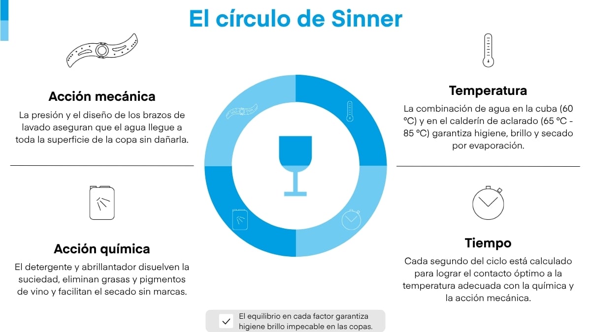 Infografía de círculo de sinner