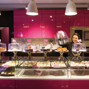 Commercial Undercounter Dishwashers for Bakeries Commercial Undercounter Dishwashers for Bakeries